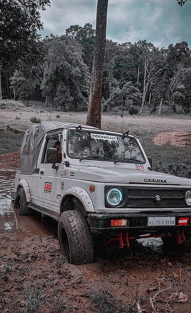 近年来战绩 近年来战绩