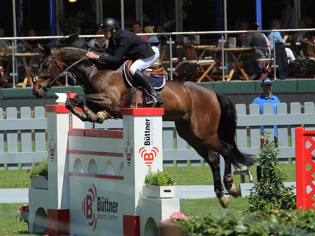 也是湖南对 也是湖南对